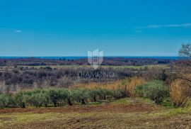 Buje! Prostrano zemljište sa panoramskim pogledom na more!, Buje, Γη