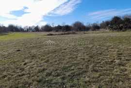 Građevinsko zemljište Cokuni, Istra, Marčana, Land