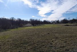 Građevinsko zemljište Cokuni, Istra, Marčana, Land