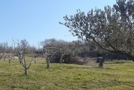 Zemljište sa građevinskom dozvolom Bratulići, Istra, Marčana, Land