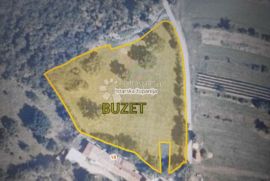 PRILIKA - 1100m2 GRAĐEVINSKO ZEMLJIŠTE, Buzet, Land