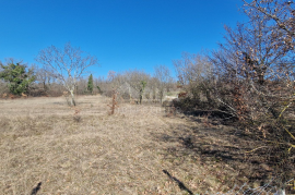 ISTRA, ŽMINJ - Građevinsko zemljište od 900 m2 + poljoprivredno zemljište od 3897 m2, Žminj, Land