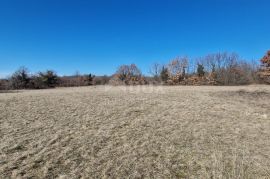 ISTRA, ŽMINJ - Građevinsko zemljište na rubu naselja, Žminj, Arazi