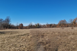 ISTRA, ŽMINJ - Građevinsko zemljište na rubu naselja, Žminj, Land