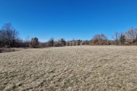 ISTRA, ŽMINJ - Građevinsko zemljište na rubu naselja, Žminj, Land