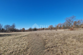 ISTRA, ŽMINJ - Građevinsko zemljište na rubu naselja, Žminj, Land