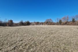 ISTRA, ŽMINJ - Građevinsko zemljište na rubu naselja, Žminj, Land