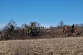 ISTRA, ŽMINJ - Građevinsko zemljište na rubu naselja, Žminj, Land