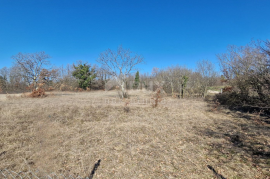 ISTRA, ŽMINJ - Građevinsko zemljište na rubu naselja, Žminj, Land