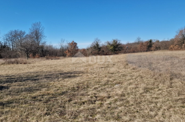 ISTRA, ŽMINJ - Zemljište s građevinskom dozvolom, Žminj, Land