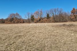 ISTRA, ŽMINJ - Zemljište s građevinskom dozvolom, Žminj, Land