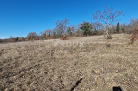 ISTRA, ŽMINJ - Zemljište s građevinskom dozvolom, Žminj, Terrain