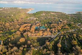 Otok Krk, Šilo - očišćen, ravan MASLINIK 217m2 buduće građevinsko, Dobrinj, Terra
