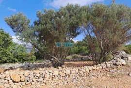 Otok Krk, Šilo - očišćeno, ravno poljoprivredno zemljište 214m2 buduće građevinsko, Dobrinj, Land