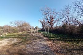 Peruški ,građevinsko zemljište 22.890m2 poslovne namjene !, Marčana, Land