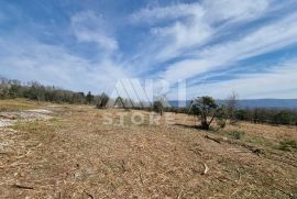 Marčana, Rakalj - Građevinsko/Poljoprivredno zemljište, 2870 m2, Marčana, Tierra