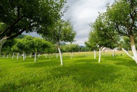 GORSKI KOTAR, BROD NA KUPI - Građevinsko zemljište od 1960m2!, Delnice, Zemljište