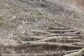 Građ. Zemljište Pluska, Zaprešić, Luka, Terreno