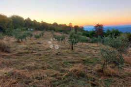 ZEMLJIŠTE S KAMENOM KUĆICOM, Oprtalj, Tierra