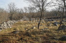 OTOK KRK, KRK (Okolica) - Poljoprivredno zemljište, Krk, Terreno