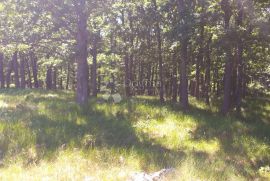 Prirodni raj u Bruvnu: Zemljište okruženo šumama i livadama, Gračac, Terrain