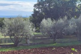 Poljoprivredno zemljište sa legaliziranim objektom i pogledom na more, Marčana, Γη