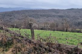 ISTRA, PIĆAN - Građevinsko i poljoprivredno zemljište u cjelini, pogled na prirodu, Pićan, Terra