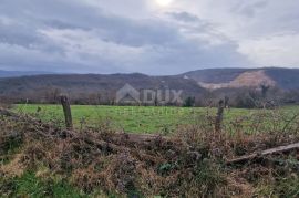 ISTRA, PIĆAN - Građevinsko i poljoprivredno zemljište u cjelini, pogled na prirodu, Pićan, Arazi