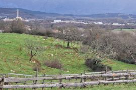 ISTRA, PIĆAN - Građevinsko i poljoprivredno zemljište u cjelini, pogled na prirodu, Pićan, أرض