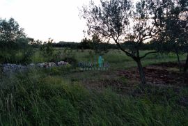 Poljoprivredno zemljište u okolici Buja !, Buje, Tierra