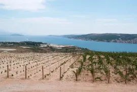 Mladi vinograd, za prodaju, Trogir - Okolica, Γη