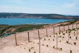 Mladi vinograd, za prodaju, Trogir - Okolica, Γη