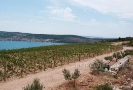 Mladi vinograd, za prodaju, Trogir - Okolica, Terreno