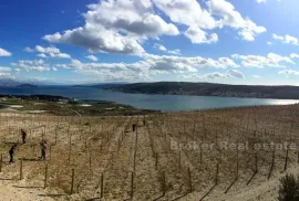 Mladi vinograd, za prodaju, Trogir - Okolica, Γη