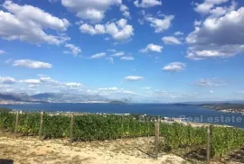 Mladi vinograd, za prodaju, Trogir - Okolica, Γη