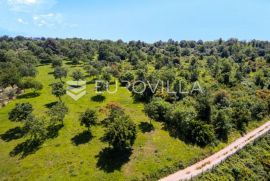 Istra, Tar - građevinsko zemljište 1. red do mora sa panoramskim pogledom, Poreč, Land