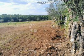 Prekrasno poljoprivredno zemljište u Raklju, Marčana, Tierra