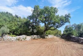 Prekrasno poljoprivredno zemljište u Raklju, Marčana, Land