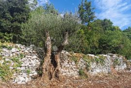 Prekrasno poljoprivredno zemljište u Raklju, Marčana, Land