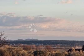 VELIKO ZEMLJIŠTE U TINJU POGODNO ZA IZGRADNJU VILA!!!, Benkovac, Tierra