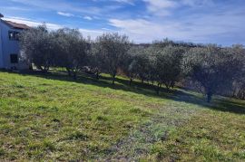 Građevinsko zemljište na atraktivnoj lokaciji, Vižinada, Vižinada, Tierra