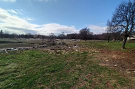 Prostrano građevinsko zemljište od 5245 m2, okolica Barbana, Barban, Terreno