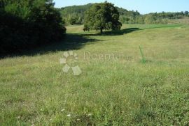 Prostrano građevinsko zemljište na idiličnoj lokaciji!, Karojba, Land