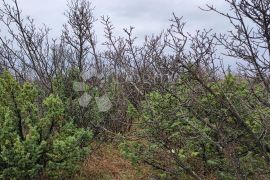 Teren za sportsko-rekreacionu namjenu, Kraljevica, Terrain