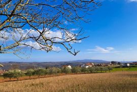 Građevinsko zemljište s projektom i dozvolom, okolica Barbana, Barban, Zemljište