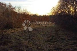 Prostrano poljoprivredno zemljište, Barban, Land