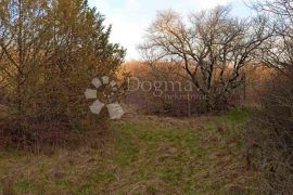 Poljoprivredno zemljište u okolici Barbana, Barban, Terreno