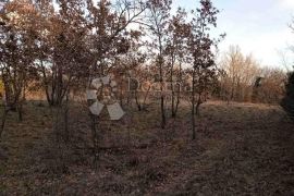 Poljoprivredno zemljište u blizini Barbana, Barban, Land