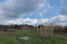 Građevinsko zemljište poslovne namjene, Pula, Terrain