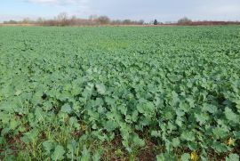 TOP LOKACIJA NASUPROT TRGOVAČKOG CENTRA, Varaždin, Land